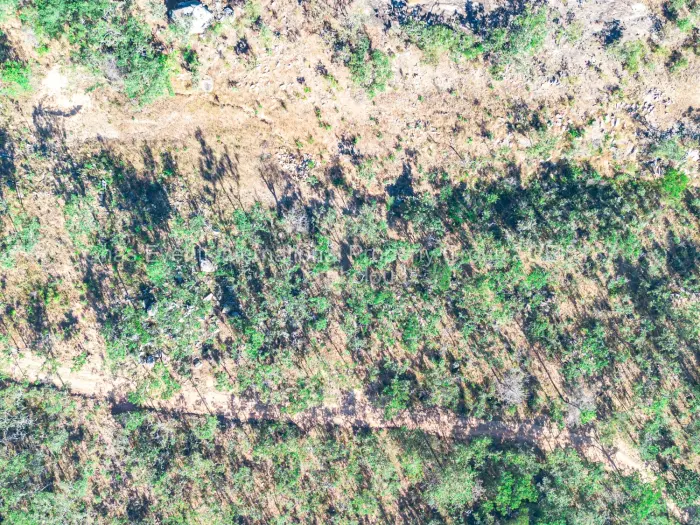 Commercial Stand for Sale in Juliasdale, Juliasdale