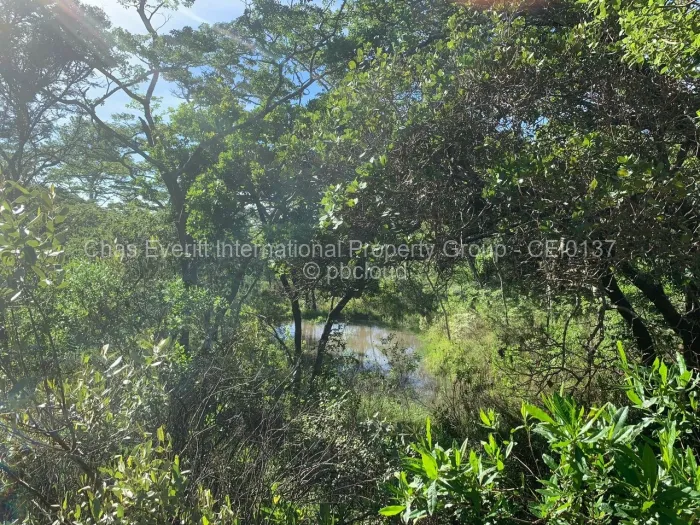 Commercial Stand for Sale in Juliasdale, Juliasdale