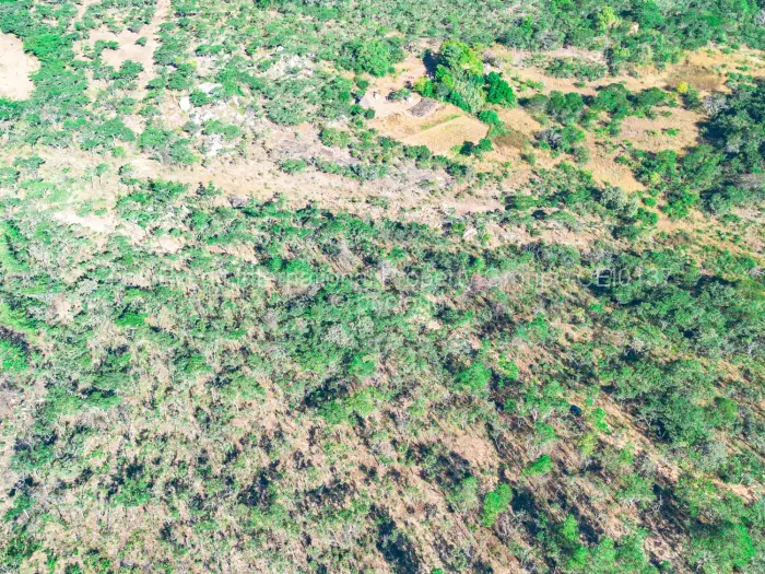 Commercial Stand for Sale in Juliasdale, Juliasdale