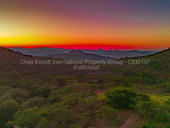 Commercial Stand for Sale in Juliasdale, Juliasdale