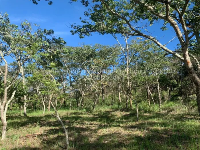 Commercial Stand for Sale in Juliasdale, Juliasdale