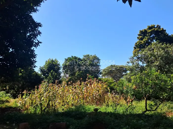 3 Bedroom House for Sale in Mandara, Harare