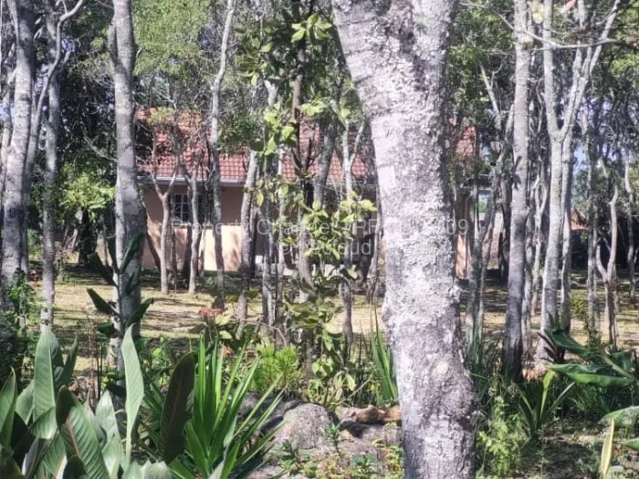 5 Bedroom House to Rent in Glen Lorne, Harare