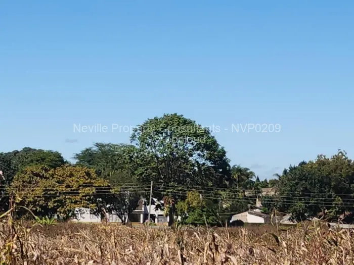 Stand for Sale in Quinnington, Harare