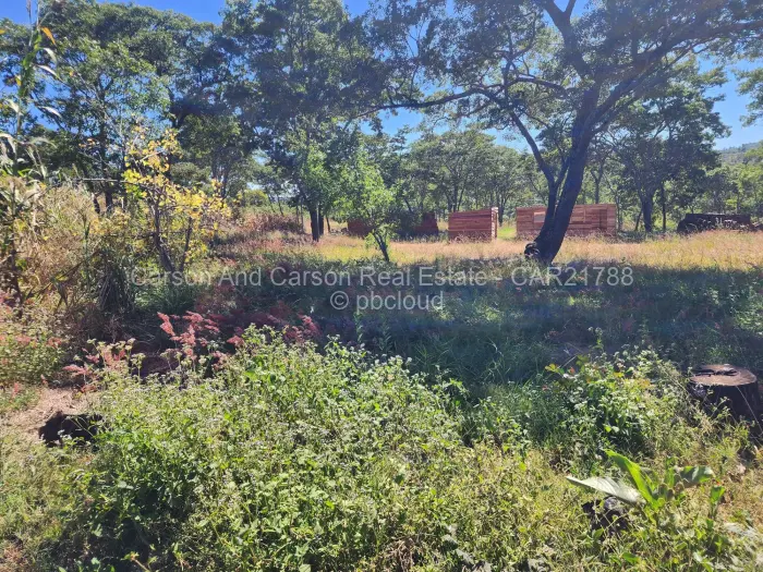 Residential Stand for Sale in Carrick Creagh Estate, Harare