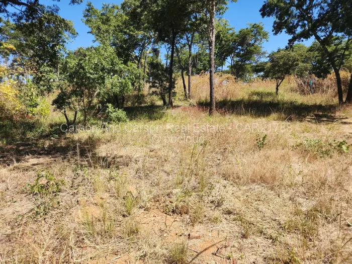Residential Stand for Sale in Carrick Creagh Estate, Harare