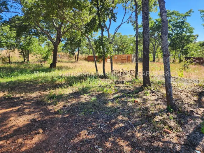 Residential Stand for Sale in Carrick Creagh Estate, Harare