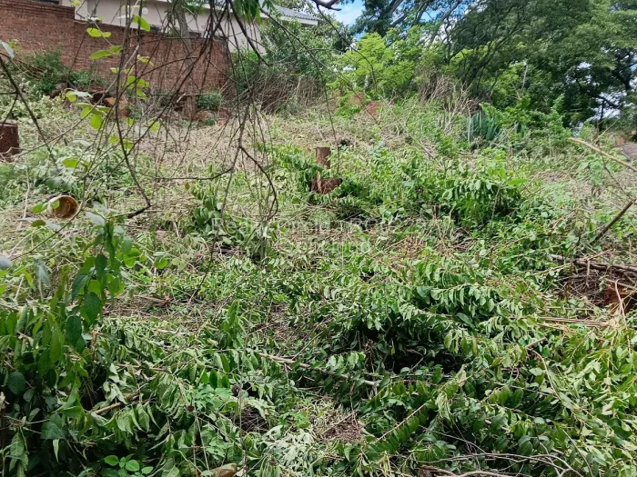 Land for Sale in Borrowdale, Harare