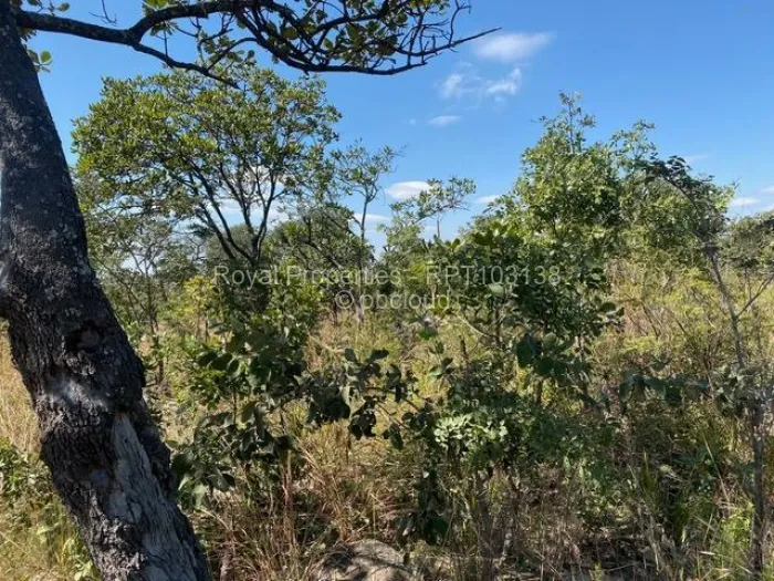 Farm/Plot for Sale in Crowhill Views, Harare