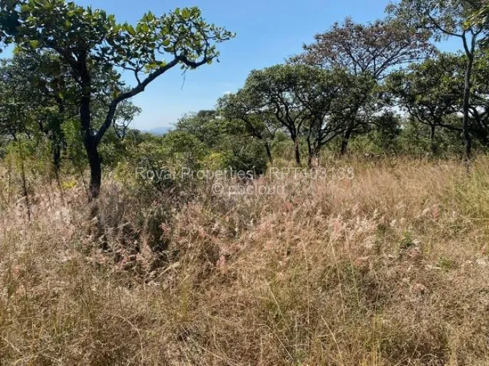 Farm/Plot for Sale in Crowhill Views, Harare