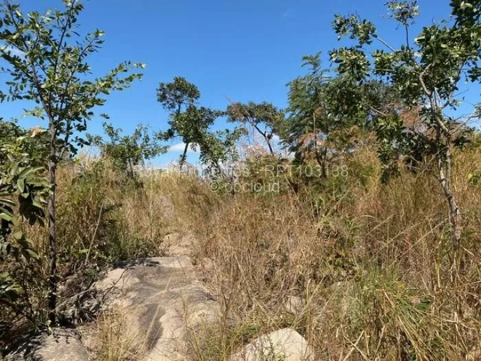 Farm/Plot for Sale in Crowhill Views, Harare