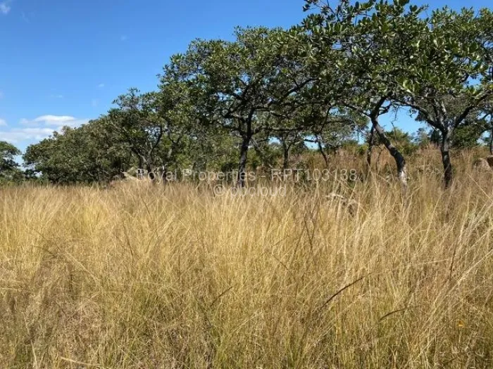 Farm/Plot for Sale in Crowhill Views, Harare