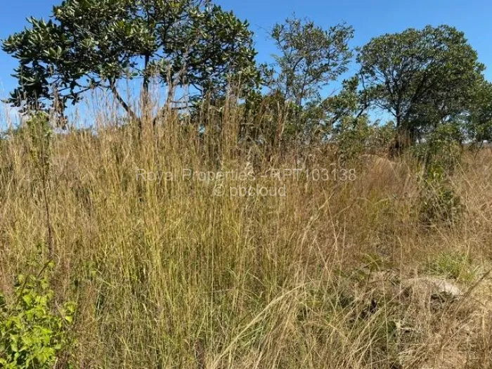 Farm/Plot for Sale in Crowhill Views, Harare