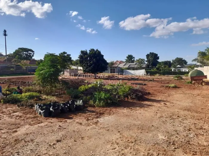 Stand for Sale in Pomona, Harare
