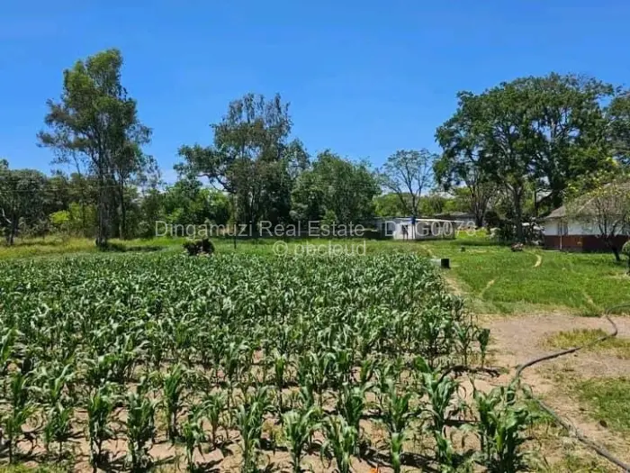 Farm/Plot for Sale in Ruwa, Ruwa