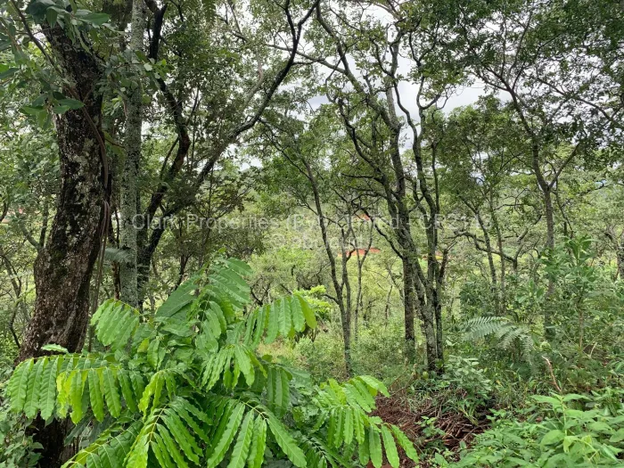 Farm/Plot for Sale in Shawasha Hills, Harare