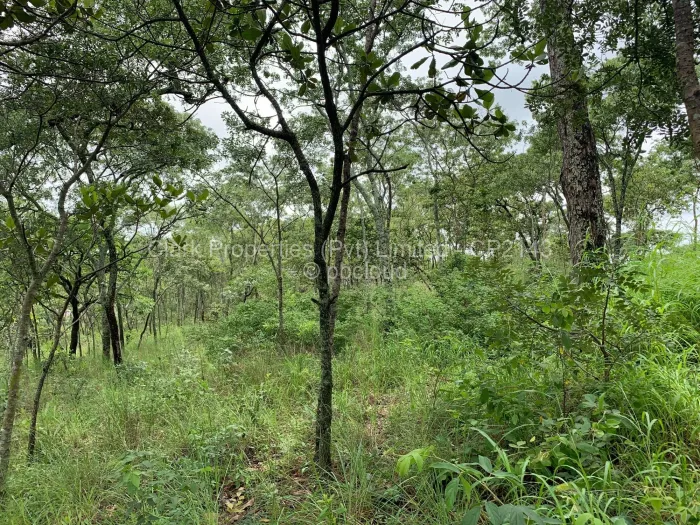 Farm/Plot for Sale in Shawasha Hills, Harare