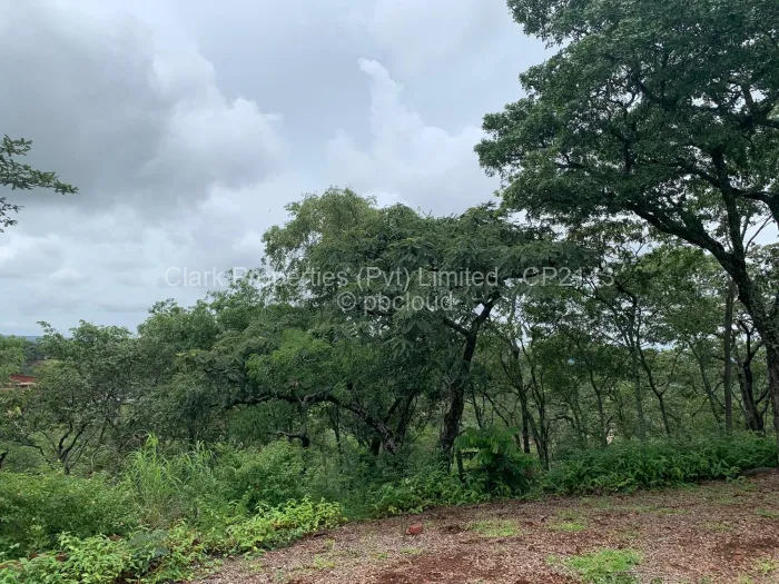 Farm/Plot for Sale in Shawasha Hills, Harare