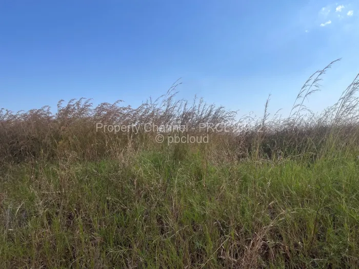 Stand for Sale in Haydon Park, Mazowe