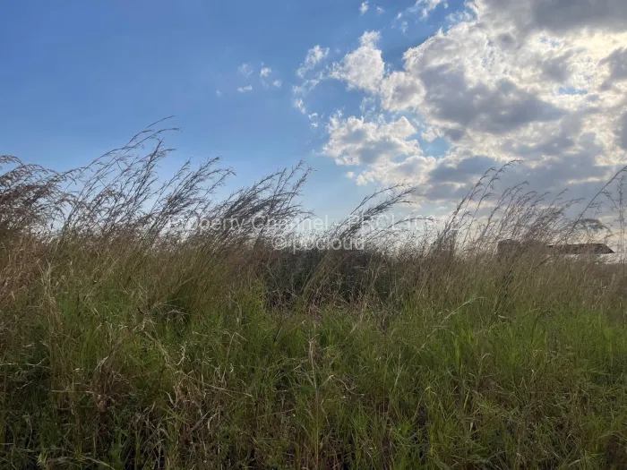 Stand for Sale in Haydon Park, Mazowe