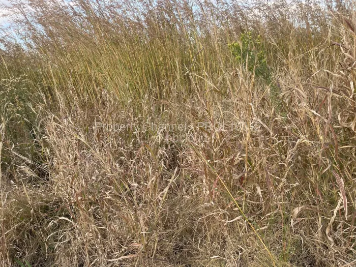Stand for Sale in Haydon Park, Mazowe