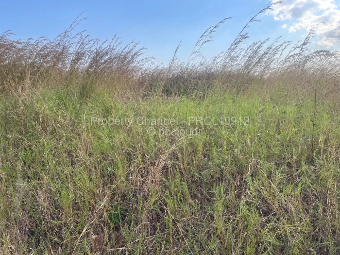Stand for Sale in Haydon Park, Mazowe