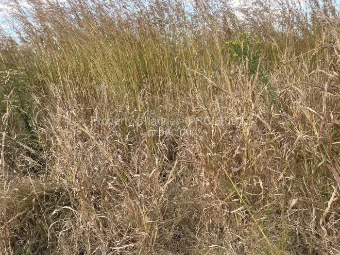 Stand for Sale in Haydon Park, Mazowe