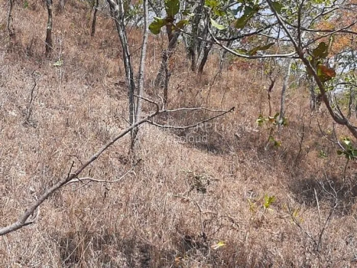 Commercial Stand for Sale in Umwinsidale, Harare