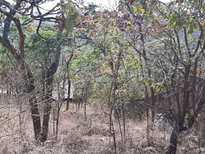 Commercial Stand for Sale in Umwinsidale, Harare