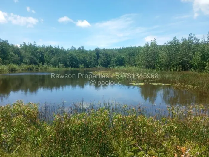 Farm/Plot for Sale in Nyanga, Nyanga