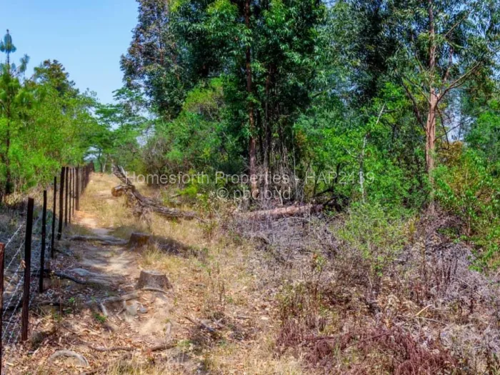 Farm/Plot for Sale in Nyanga, Nyanga