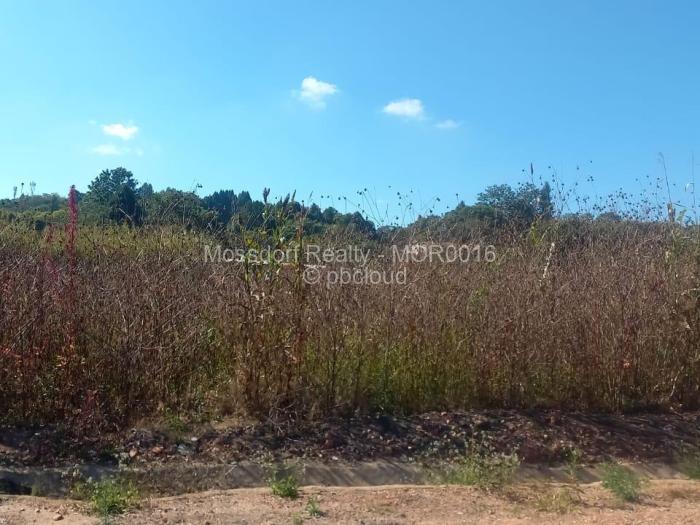 Residential Stand for Sale in Borrowdale, Harare