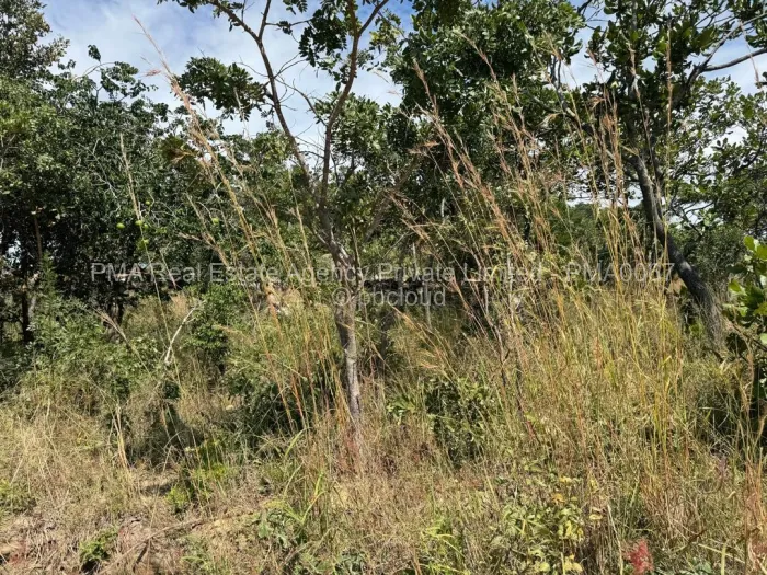 Stand for Sale in Crowhill Views, Harare
