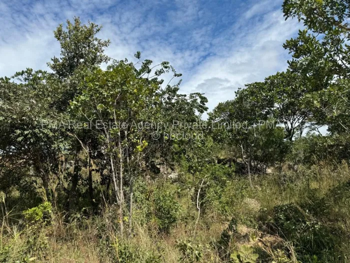 Stand for Sale in Crowhill Views, Harare