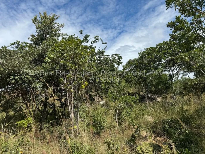 Stand for Sale in Crowhill Views, Harare