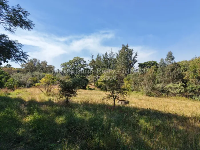 Commercial Stand for Sale in Borrowdale Brooke, Harare