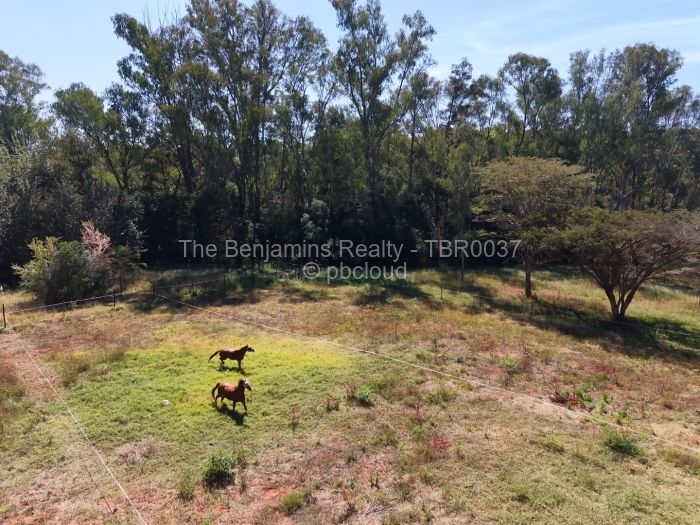 Commercial Stand for Sale in Borrowdale Brooke, Harare