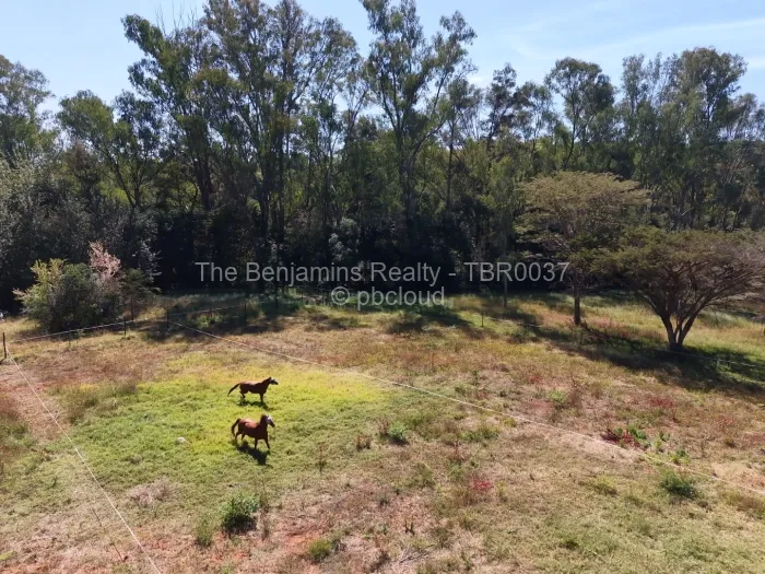 Commercial Stand for Sale in Borrowdale Brooke, Harare