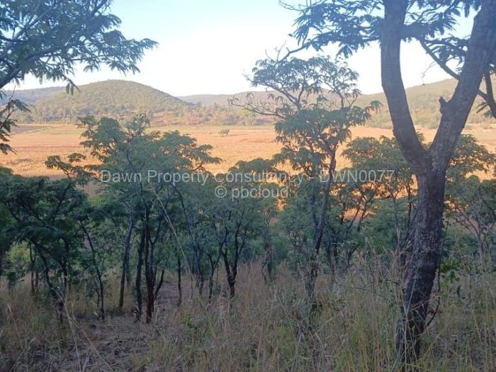 Residential Stand for Sale in Cromlet, Arcturus