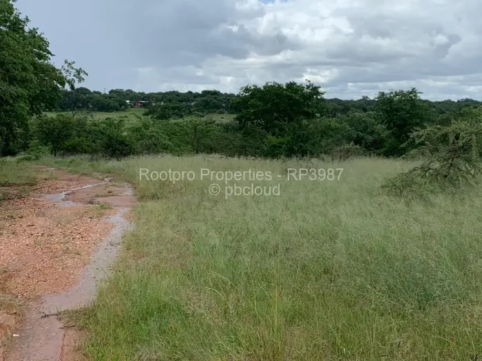 Farm/Plot for Sale in Gweru East, Gweru
