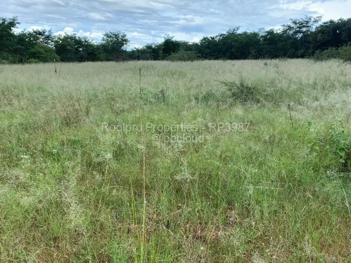 Farm/Plot for Sale in Gweru East, Gweru