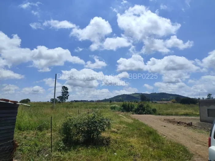 Stand for Sale in Haydon Park, Mazowe