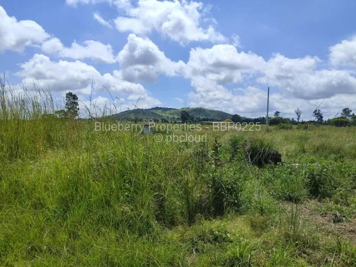 Stand for Sale in Haydon Park, Mazowe