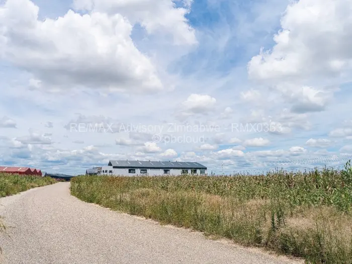 Land for Sale in Arlington, Harare