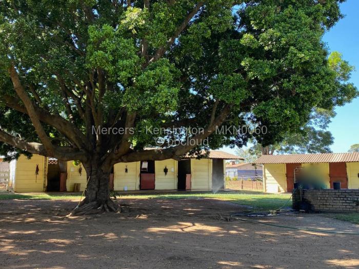 Warehouse/Industrial to Rent in Helensvale, Harare