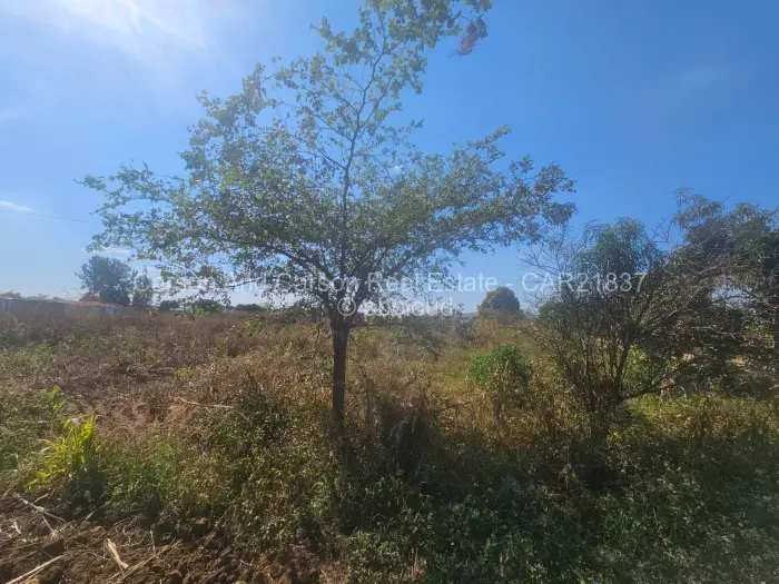 Stand for Sale in Dzivarasekwa, Harare