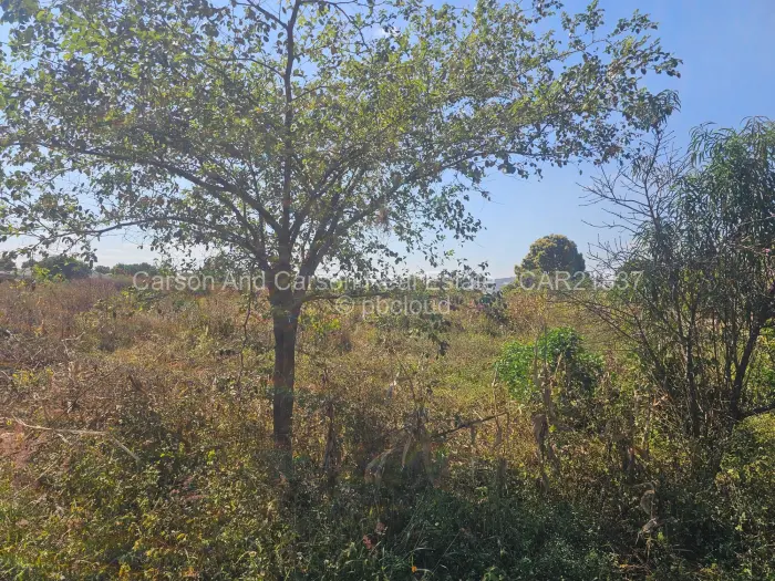 Stand for Sale in Dzivarasekwa, Harare