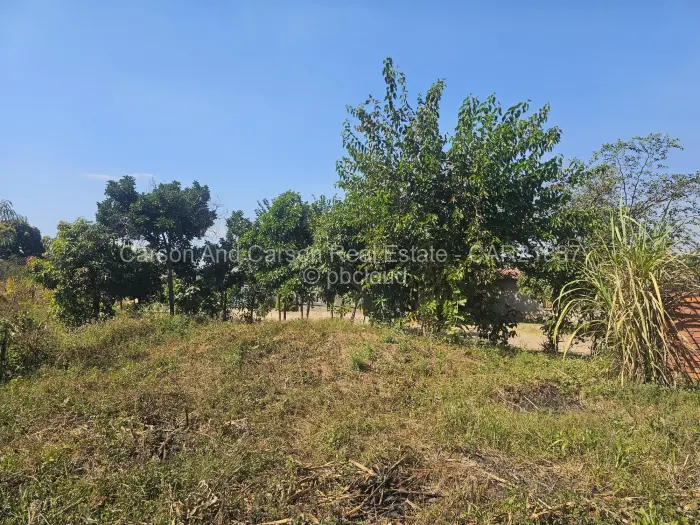 Stand for Sale in Dzivarasekwa, Harare