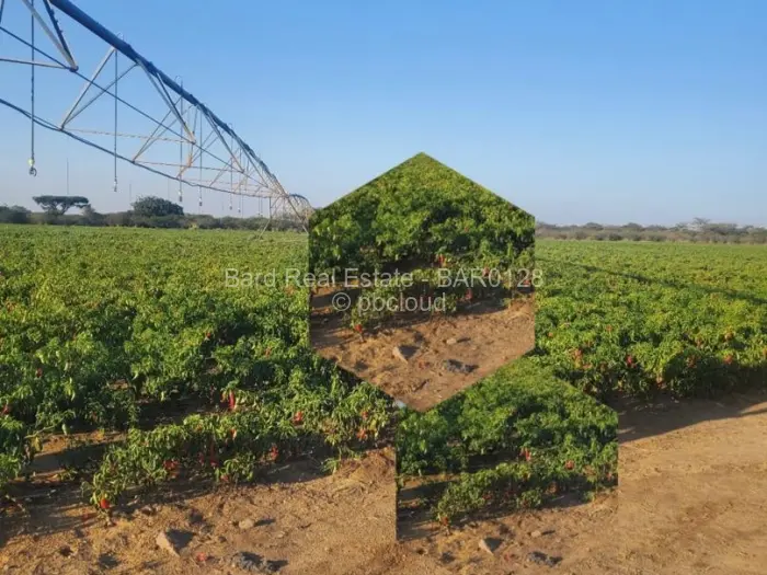 Farm/Plot for Sale in Gweru East, Gweru