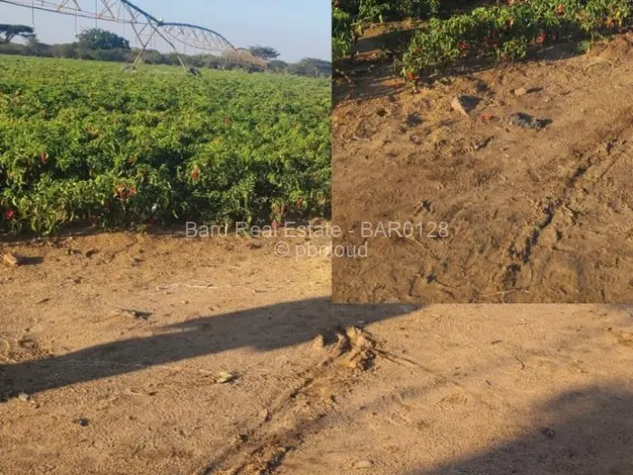 Farm/Plot for Sale in Gweru East, Gweru